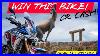 Africa_Twin_Shakedown_Your_Chance_To_Own_It_Raffle_Africatwin_01_waz