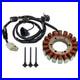 Alternateur_Stator_pour_Honda_CRF1000A_CRF1000D_Africa_Twin_de_2016_a_2019_01_bah