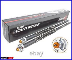 Kit cartouche hydraul Misano Evo Andreani Honda XRV 750 Africa Twin 1990 1996