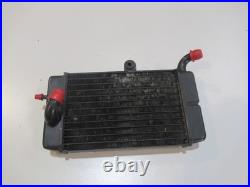 Radiateur gauche (Honda Africa Twin Rd07 750 1993 1995)