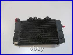 Radiateur gauche (Honda Africa Twin Rd07 750 1993 1995)